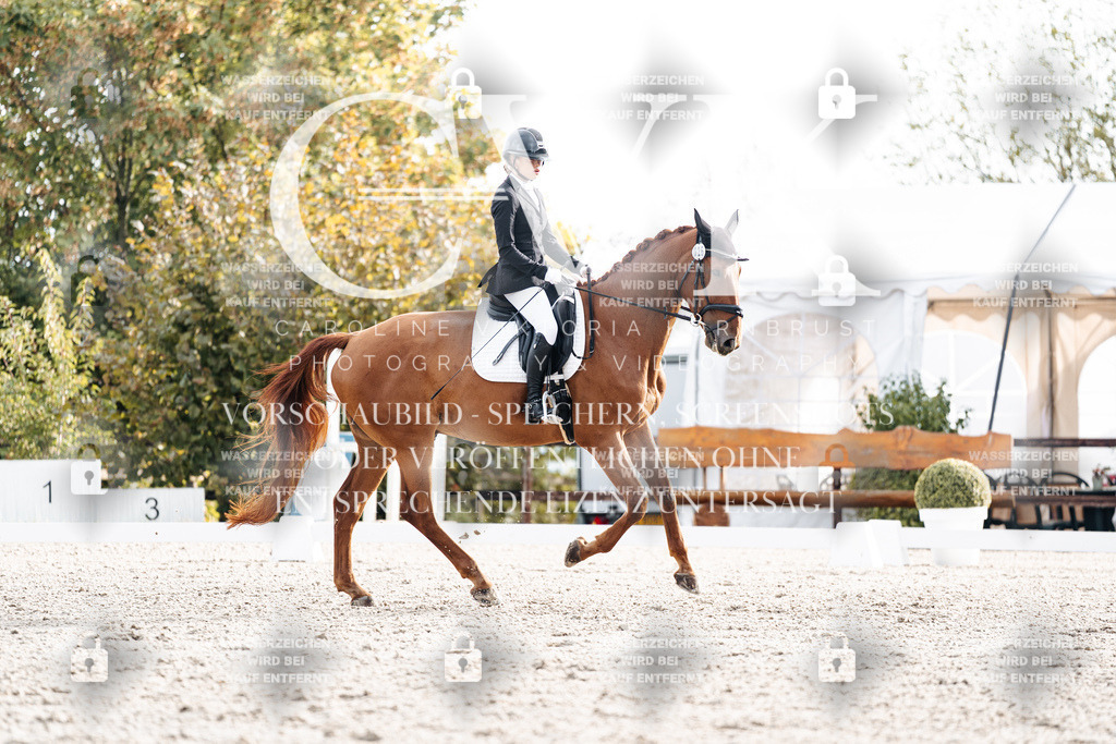 CK900651 | Turnierfotografie Pferdefotografie Trier Rheinland-Pfalz Pferdesport Reitsport Tierfotografie Sportfotografie Pferdevideo Pferdevideografie Equestrianvideography equestrianphotography  - Realisiert mit Pictrs.com