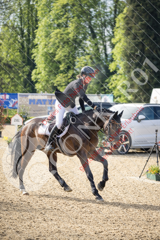 CON_0142 | Sport-, Event- und Tierfotos in Profiqualität. Einfach auswählen, bestellen und herunterladen. Dein Moment – perfekt festgehalten.