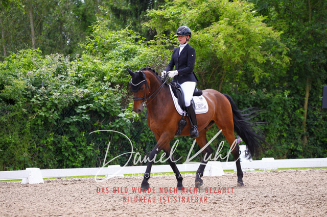 DKP41081 | Turnierfotos kaufen im Webshop von Daniel Kuhl Photography – entdecke professionelle Reitsportfotos aus Turnieren & Events. Hochwertige Turnierbilder online bestellen & sichern. Jetzt Fotos von Reitsportturnieren kaufen!