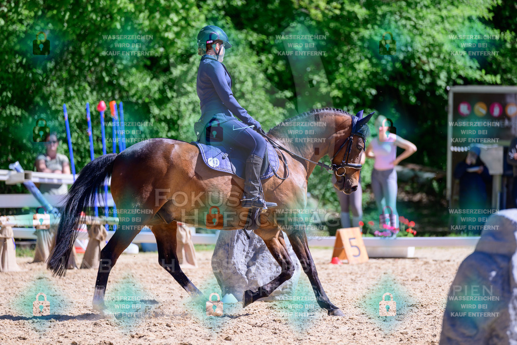 01052026-Giesenbach-02-Stiltrail-0602 | Fokus Hufschlag Fotografie - Realisiert mit Pictrs.com