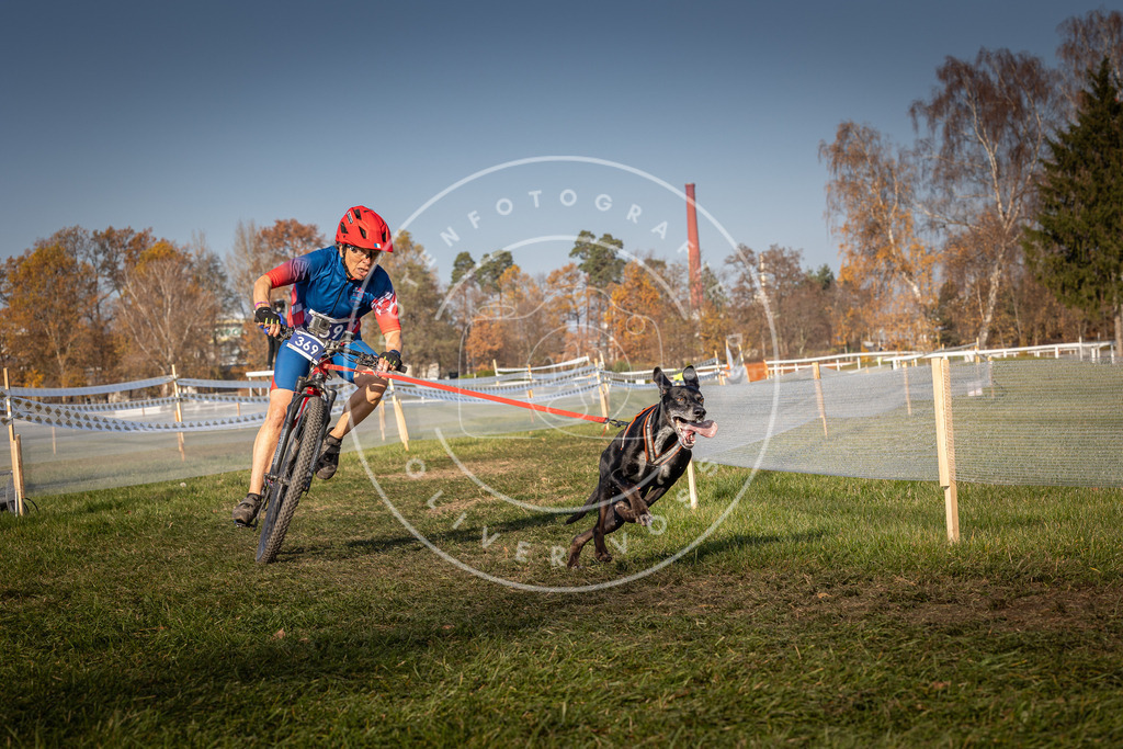 CaniXpix_0L8A7013 | Hundefotografie, Tierfotograf, Pfotenfotografie, Fotoshooting Hund, Hunde Portrait, Hundesport, Hundeportraits, Heideshooting, Hunde, Sportfotograf, Hundefotograf, Turnierhundsport, THS,  - Realisiert mit Pictrs.com