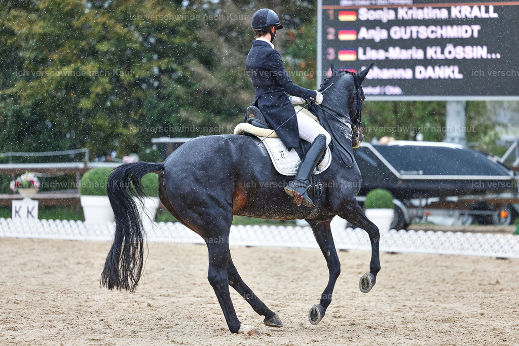 8_1-027-Klasse S_  -StoibPH-4021 | working equitationturnier fotograf videograf stoibphotography marixx film working equitation deutschland reitsport turnierfotografie eventfotografie equestrian events