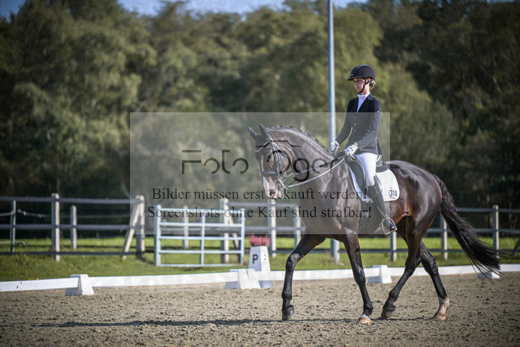 DOS_1819 | Entdecke hochwertige Reitturnierfotos von Foto Oger. Professionell, emotional und authentisch – jetzt Lieblingsmomente im Shop bestellen.Deutschlandweite Turnierfotografie. - Realisiert mit Pictrs.com