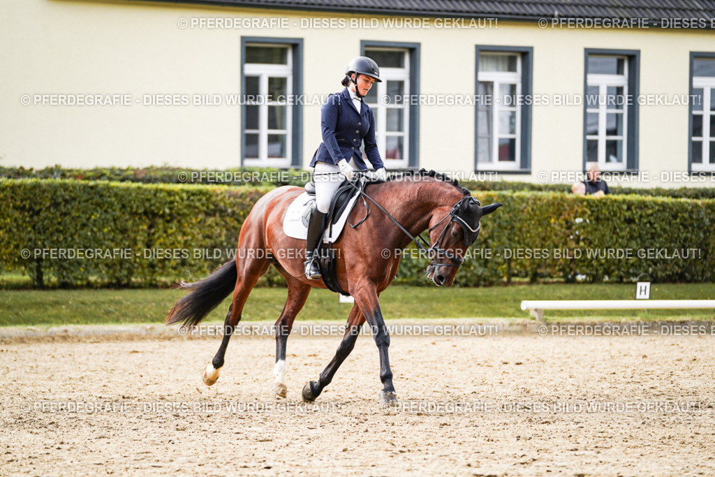 DSC09508 | Pferdegrafie