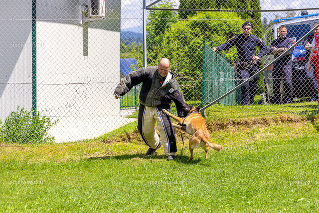 14. Frühlingsfest zugunsten der Kärntner Kinderkrebshilfe - Tag 1 | Bildershop von pixelworld.at - Realisiert mit Pictrs.com