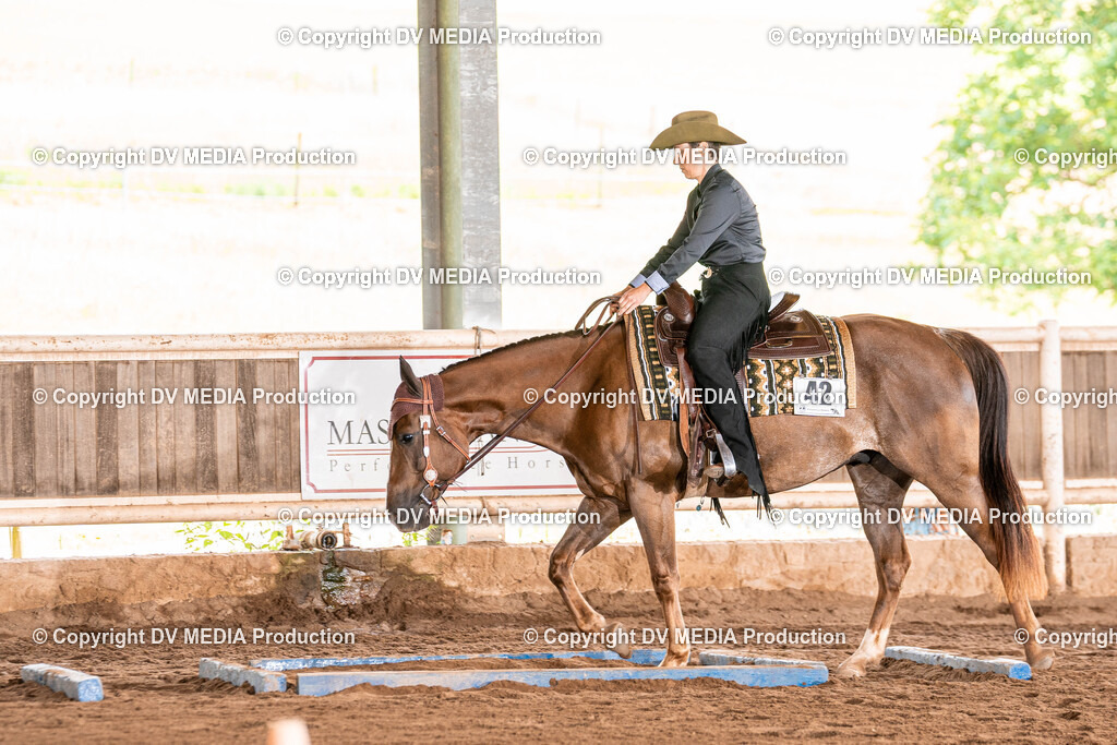 Erbach Tag 2-394 | dv-media-shop - Realisiert mit Pictrs.com