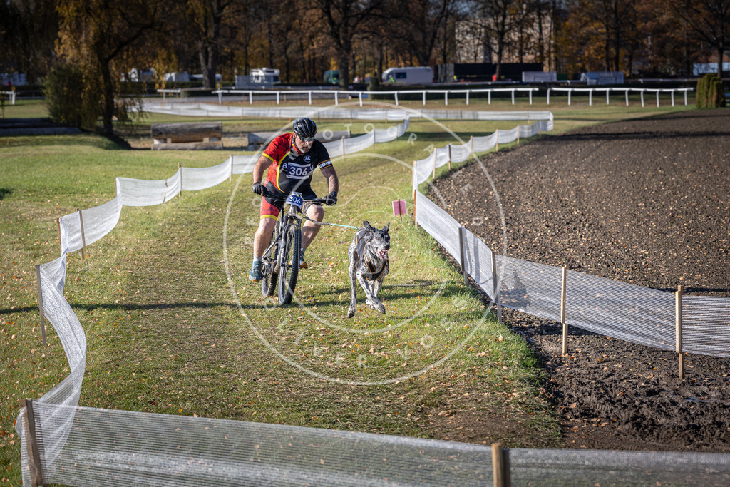 CaniXpix_DV3A6201 | Hundefotografie, Tierfotograf, Pfotenfotografie, Fotoshooting Hund, Hunde Portrait, Hundesport, Hundeportraits, Heideshooting, Hunde, Sportfotograf, Hundefotograf, Turnierhundsport, THS,  - Realisiert mit Pictrs.com