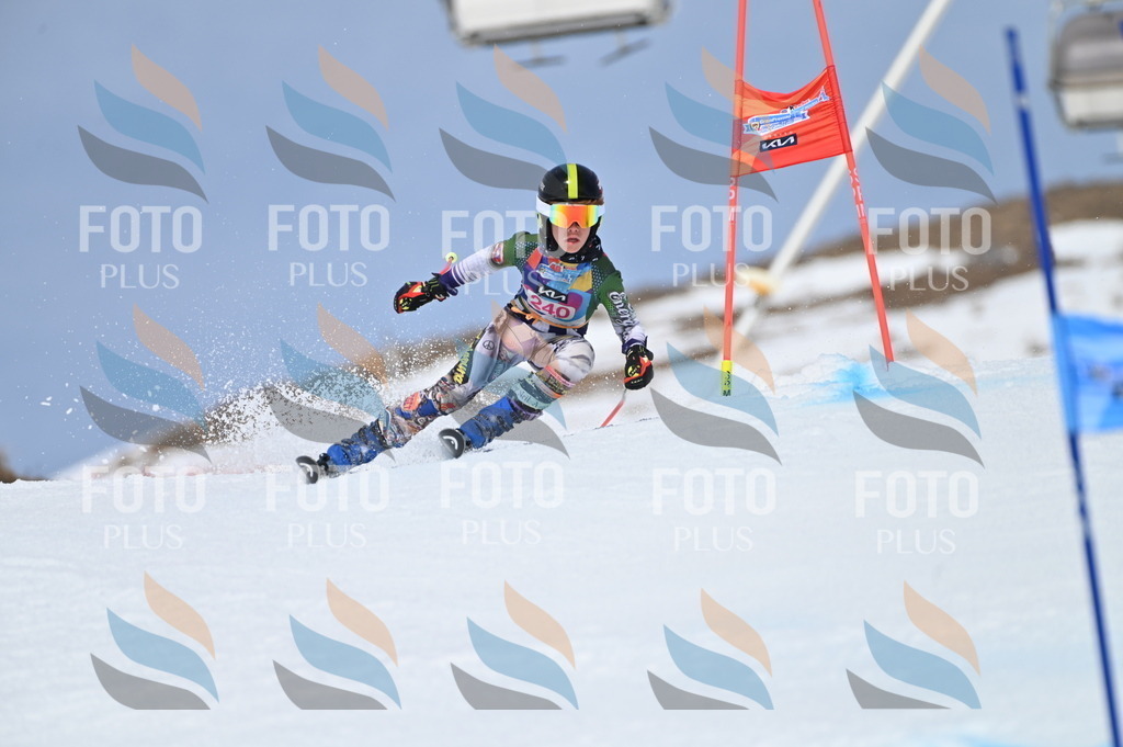 BGV_1692 | holidayphoto