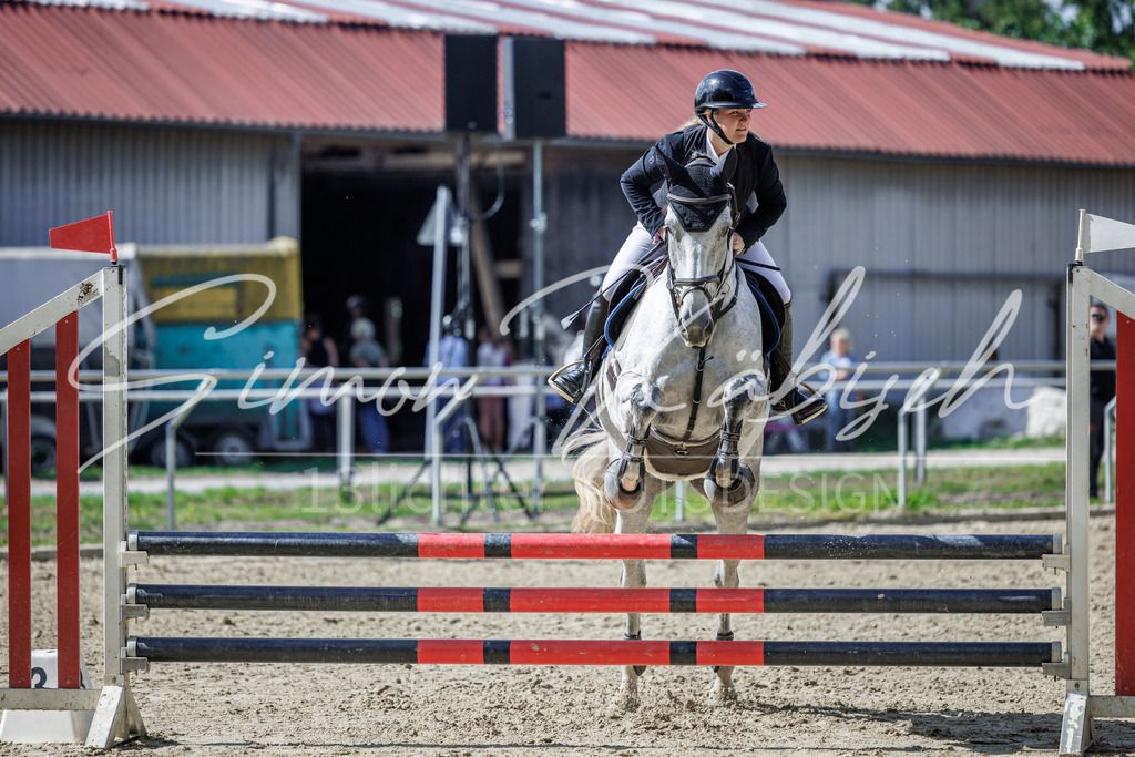 20260905-_3LI9093 | Tierfotografie Pferde, Hunde, Katzen, Haustiere.
Turnierfotografie Reitturniere, Reiten, Springreiten, Dressur in Hanau, dem Main-Kinzig-Kreis und dem Rhein-Main- Gebiet um Frankfurt