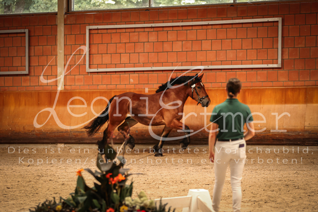 SaFL00139 | Leoni Ertmer Photography - Realisiert mit Pictrs.com