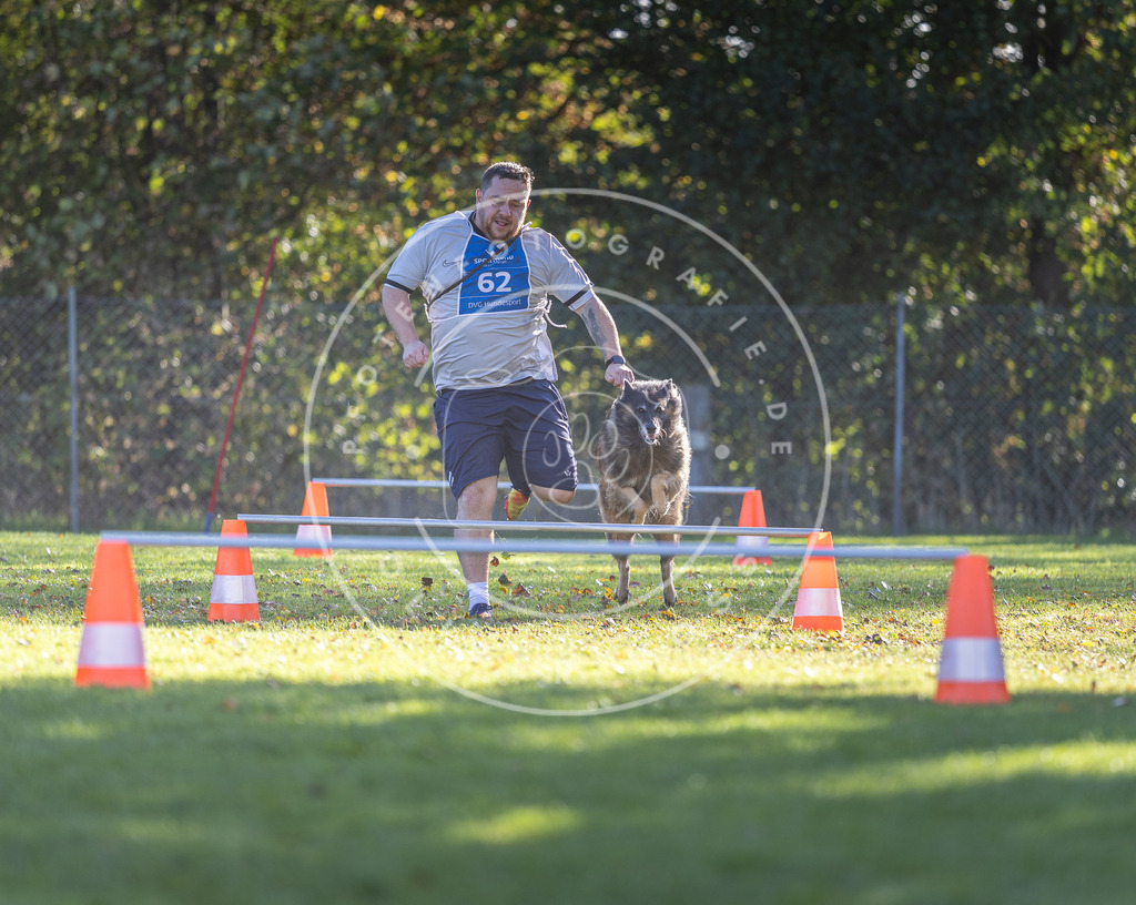 Pfotenfotografie.de_DV3A3168 | Hundefotografie, Tierfotograf, Pfotenfotografie, Fotoshooting Hund, Hunde Portrait, Hundesport, Hundeportraits, Heideshooting, Hunde, Sportfotograf, Hundefotograf, Turnierhundsport, THS, canicross - Realisiert mit Pictrs.com