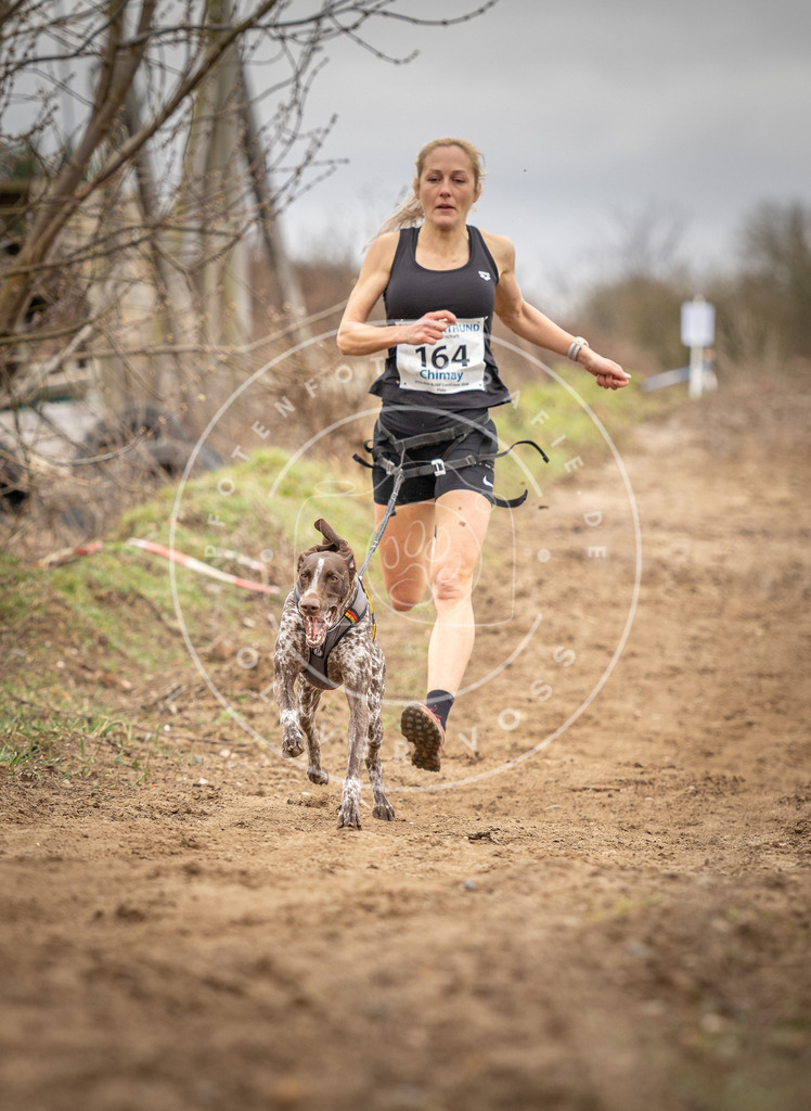 DV3A1791 | Hundefotografie, Tierfotograf, Pfotenfotografie, Fotoshooting Hund, Hunde Portrait, Hundesport, Hundeportraits, Heideshooting, Hunde, Sportfotograf, Hundefotograf, Turnierhundsport, THS,  - Realisiert mit Pictrs.com