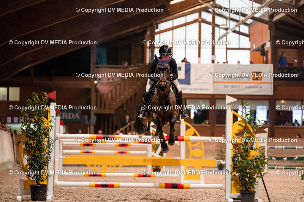 Springen Tag 2-736 | dv-media-shop - Realisiert mit Pictrs.com