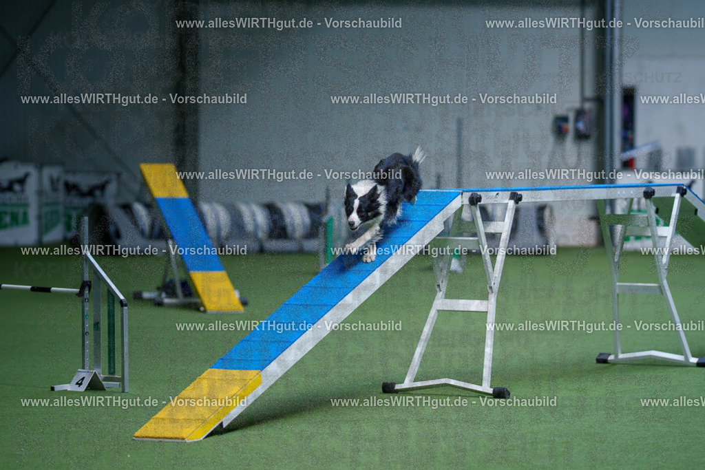@allesWIRTHgut_Tierfotografie - www.allesWIRTHgut.de - 2604260931-7R507982 | Professionelle Tierfotografie in Mönchengladbach von Daniel Wirth (allesWIRTHgut). Liebevolle & natürliche Bilder von Hunden & Katzen für unvergessliche Erinnerungen.