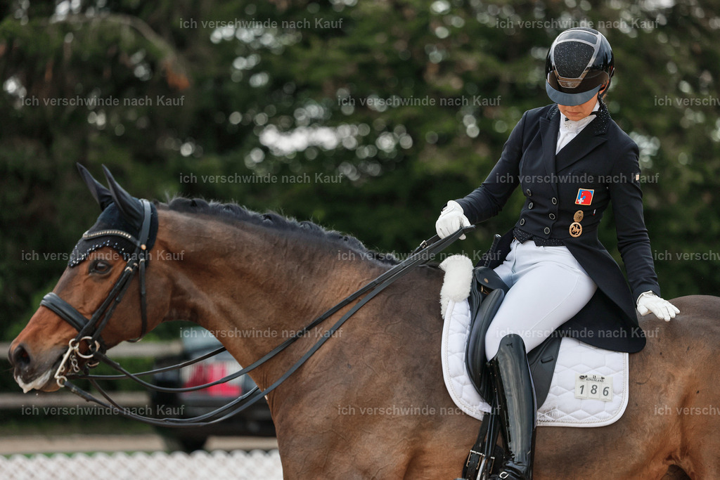12-186-DRESSUR  S___  -StoibPH-5388 | working equitationturnier fotograf videograf stoibphotography marixx film working equitation deutschland reitsport turnierfotografie eventfotografie equestrian events