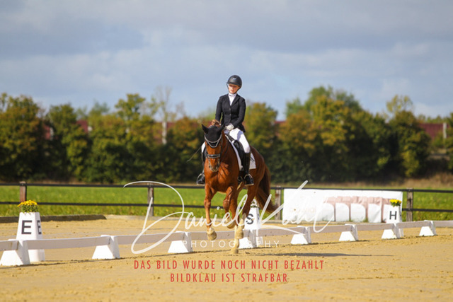 DKP45156 | Turniersportfotografie; Pferdefotografie; Dressurfotografie