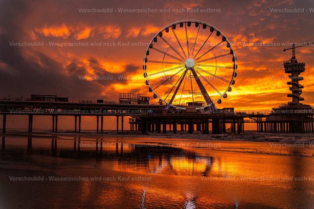 DSC00684-Enhanced-NR | marcuslinek