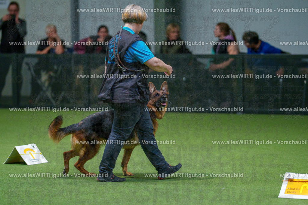 7R507958 | Professionelle Tierfotografie in Mönchengladbach von Daniel Wirth (allesWIRTHgut). Liebevolle & natürliche Bilder von Hunden & Katzen für unvergessliche Erinnerungen.