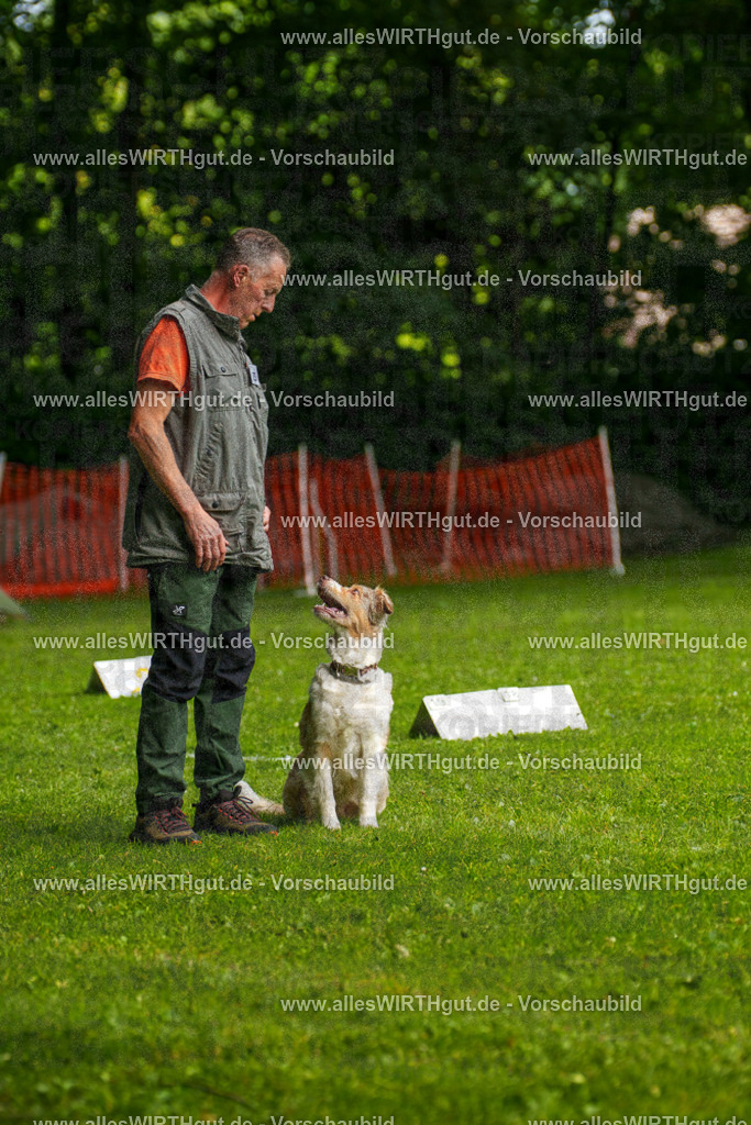 @allesWIRTHgut_Tierfotografie - www.allesWIRTHgut.de - 7R502853 | Professionelle Tierfotografie in Mönchengladbach von Daniel Wirth (allesWIRTHgut). Liebevolle & natürliche Bilder von Hunden & Katzen für unvergessliche Erinnerungen.