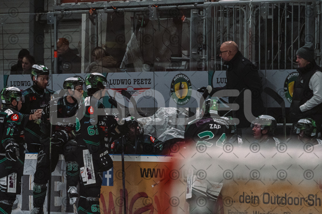 Alligators_vs_Deggendorf_23_01_2026-47 | Höchstadt Alligators Fotogalerie: Eishockey-Action aus Franken. Professionelle Spielfotos, Portraits & Stadionbilder zum Download. Jetzt entdecken! - Realisiert mit Pictrs.com