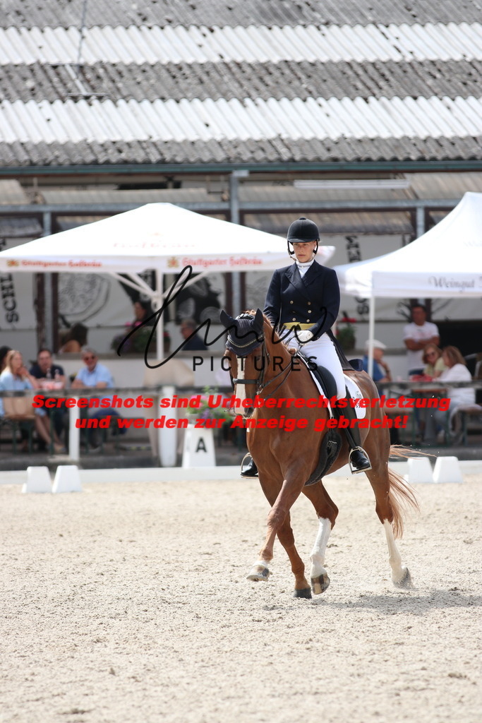 IMG_1577 | lmwpictures - Realisiert mit Pictrs.com