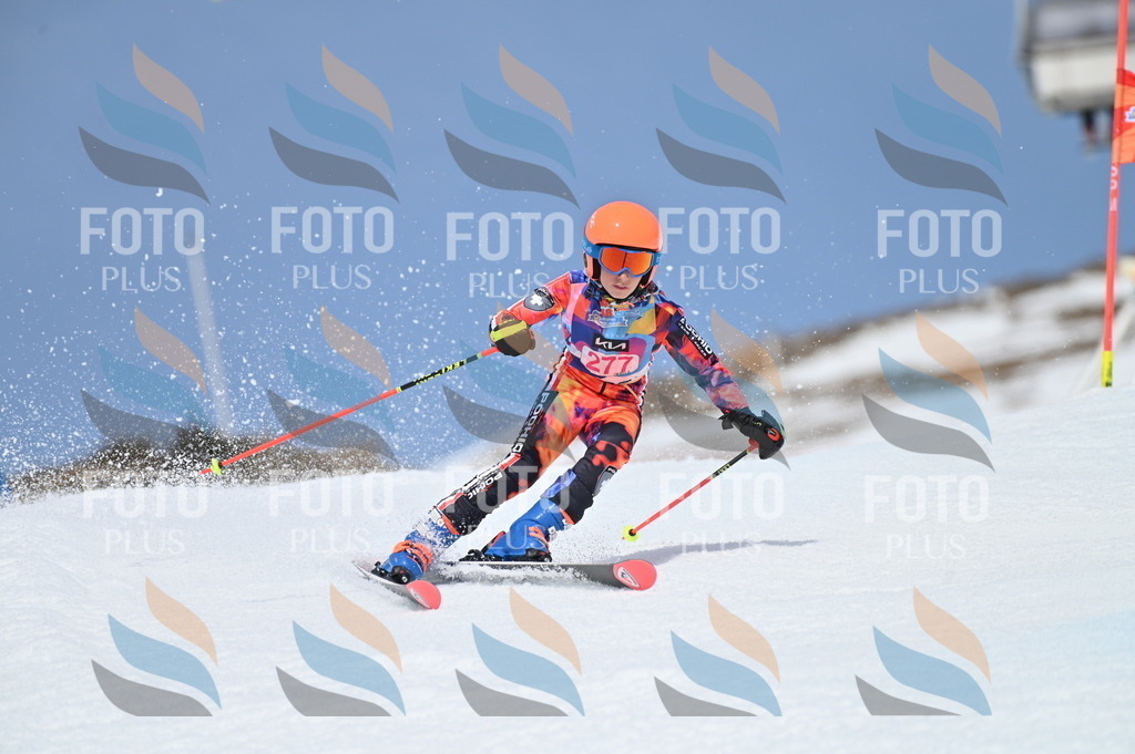 BGV_2363 | holidayphoto