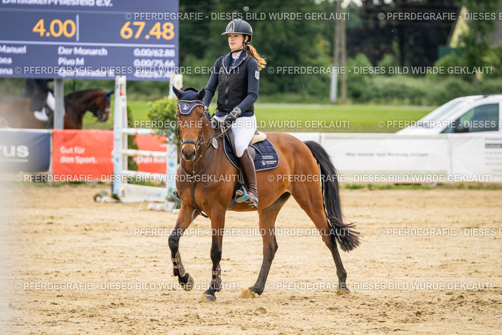 DSC06341 | Pferdegrafie