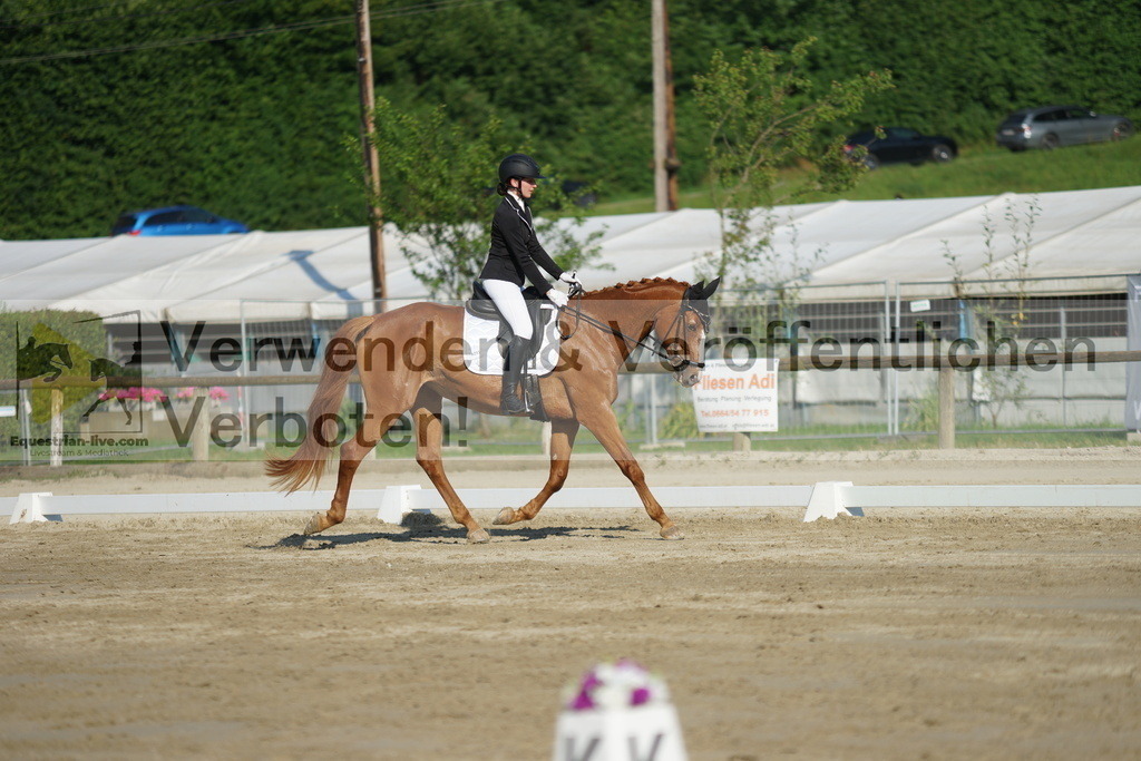 DSC04186 | equestrian-live-com