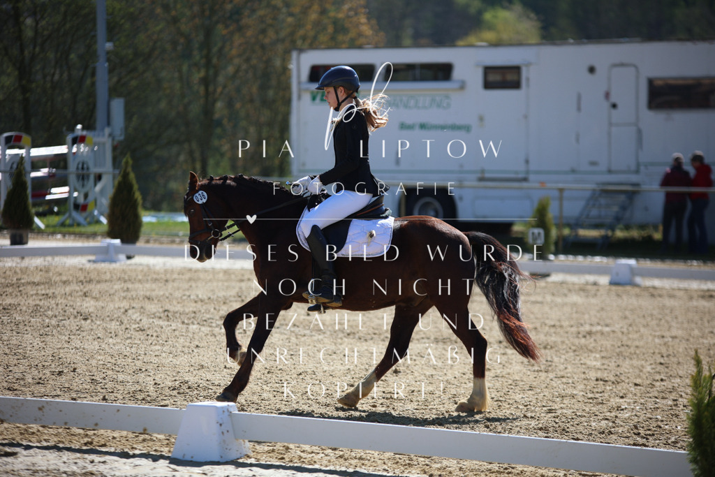 IMGT0211 | pl-fotografie