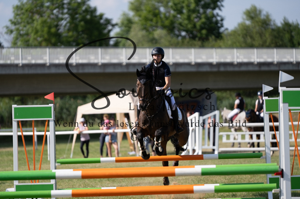 A7V00648 | Pferdefotograf