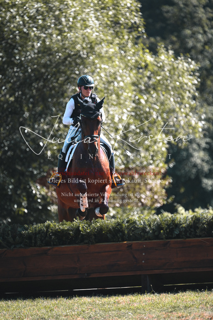 DSC_8304 | Pferde- und Turnierfotografie in Westsachsen. Pferdeportraits, Auftragszeichnungen und intuitive Kunst.