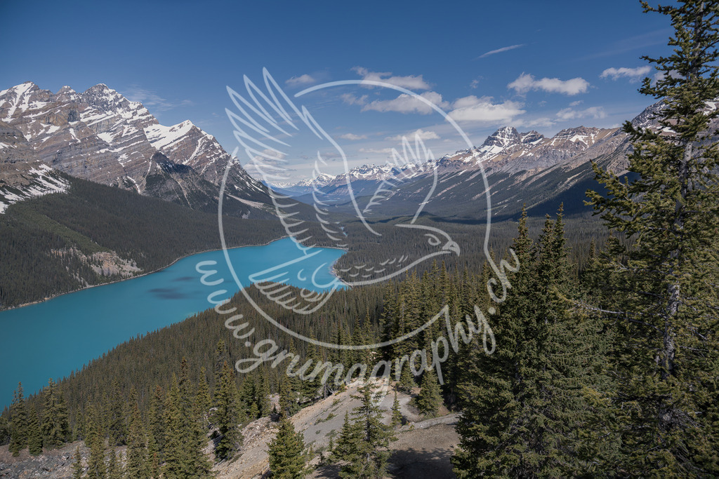 endless valley - canada | Authentische Landschafts- & Wildtierfotografie aus der Schweiz. Hochwertige Wandbilder, Fine-Art-Prints und Wunschmotive nach Auftrag – sorgfältig entwickelt im Grumagraphy-Style