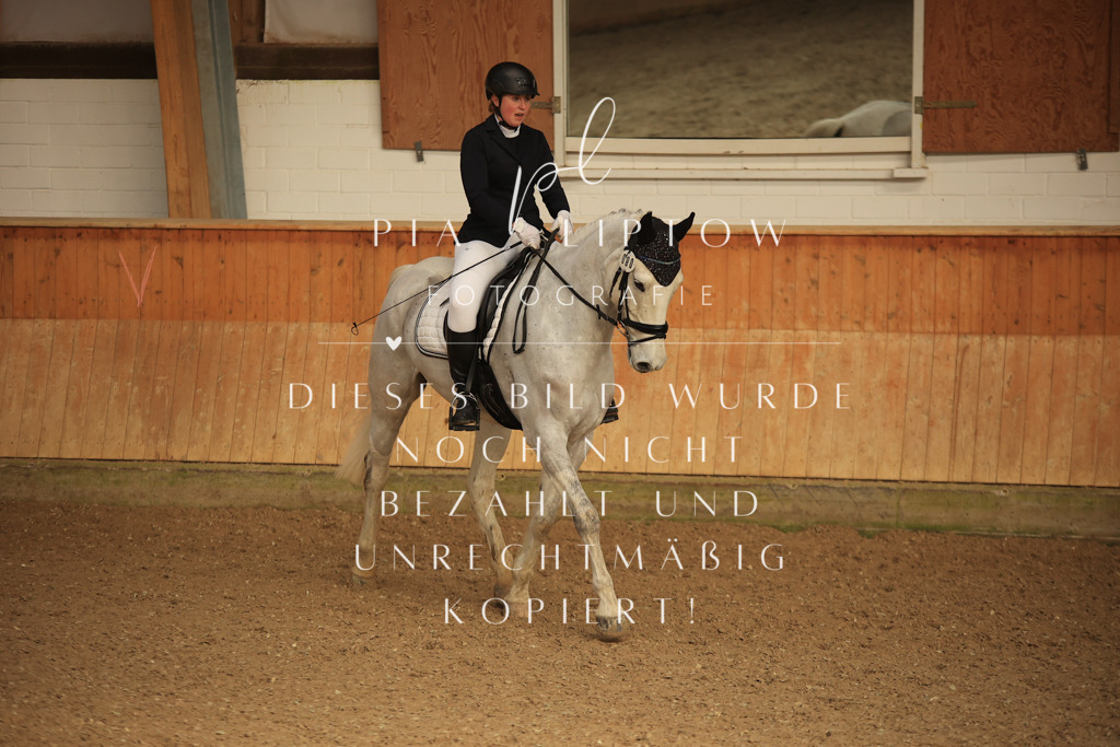 IMGT4531 | pl-fotografie