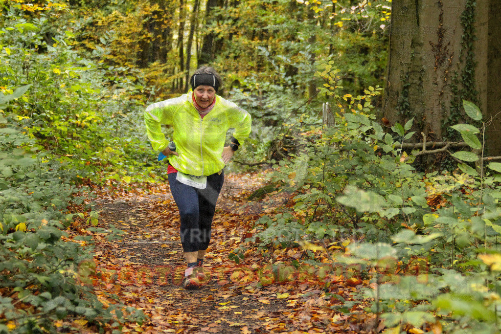 251026_1359_EV4_7074 | Sportfotografie im Rhein-Sieg Kreis, Köln, Bonn, NRW, Rheinland Pfalz, Hessen, etc. Unser Tätigkeitsfeld umfasst den Laufsport vom Volkslauf über den Marathon, Duathlon, Triathon bis zum Ultralauf wie Kölnpfad Ultra oder Schindertrail.