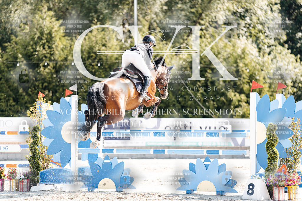 CK902701 | Turnierfotografie Pferdefotografie Trier Rheinland-Pfalz Pferdesport Reitsport Tierfotografie Sportfotografie Pferdevideo Pferdevideografie Equestrianvideography equestrianphotography  - Realisiert mit Pictrs.com