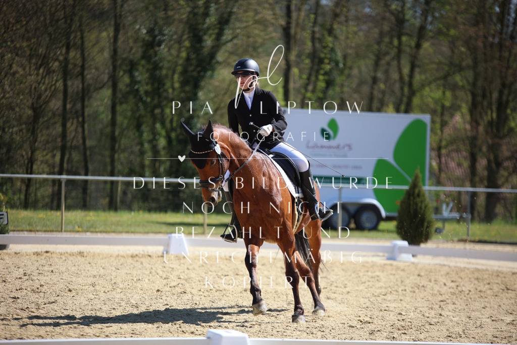 IMGT1977 | pl-fotografie