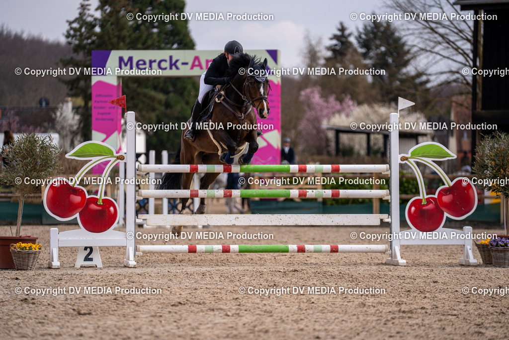 Kranichstein Tag 2-2121 | dv-media-shop - Realisiert mit Pictrs.com