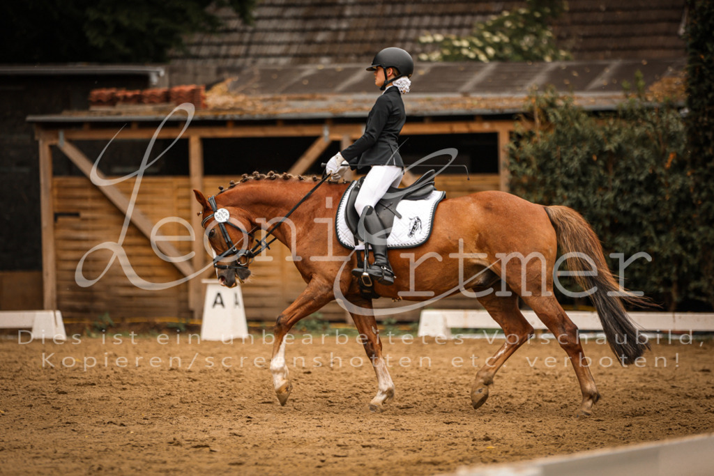 DoDrE00411 | Leoni Ertmer Photography - Realisiert mit Pictrs.com