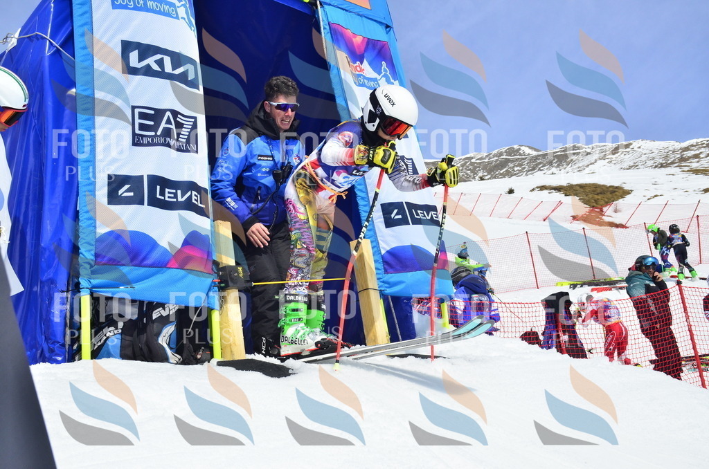 _ELE1807 | holidayphoto