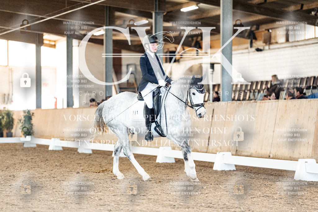 CK907773 | Turnierfotografie Pferdefotografie Trier Rheinland-Pfalz Pferdesport Reitsport Tierfotografie Sportfotografie Pferdevideo Pferdevideografie Equestrianvideography equestrianphotography  - Realisiert mit Pictrs.com
