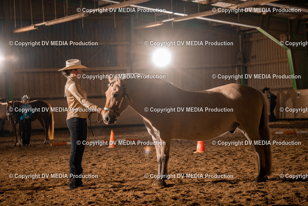 BAL01155 | dv-media-shop - Realisiert mit Pictrs.com