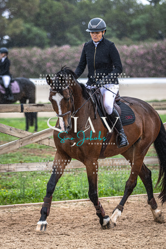 IMG_1626-Verbessert-RR | s-jay-photography - Realisiert mit Pictrs.com