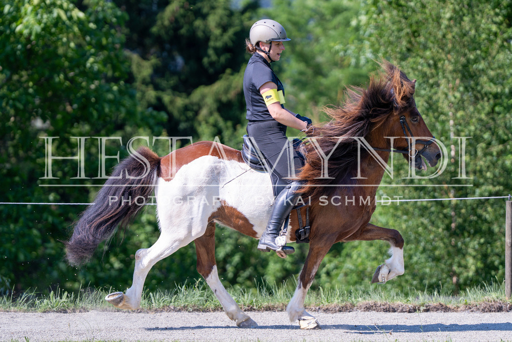 KAI06512 | Ihr sucht einen Fotografen für eure nächste OSI? Ich begleite auch euer Turnier für Islandpferde fotografisch.  - Realisiert mit Pictrs.com