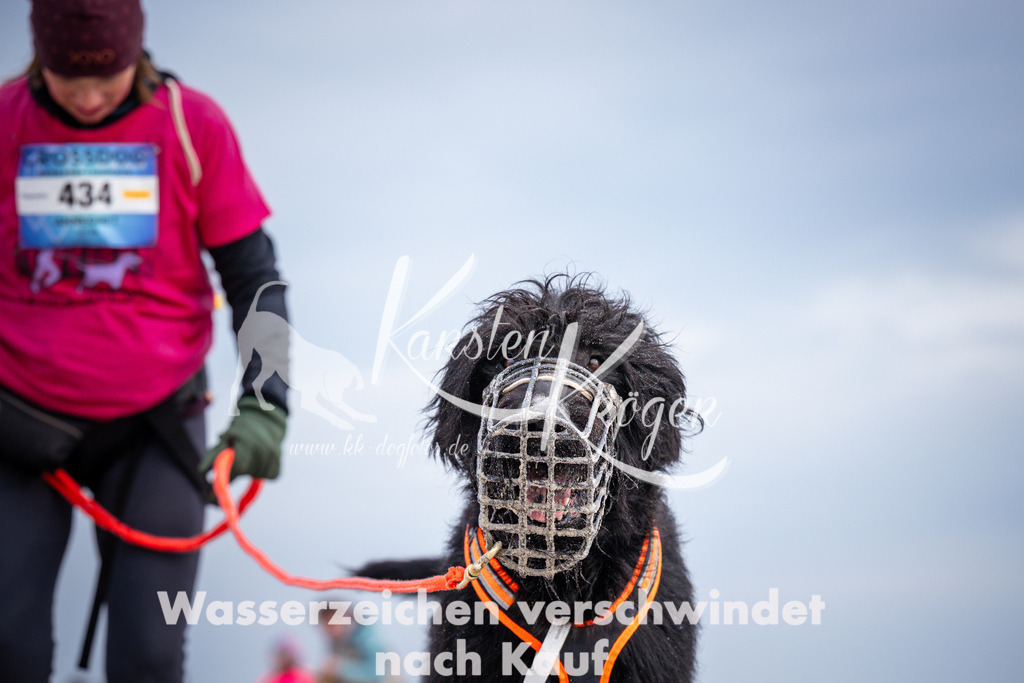 1250_ZZ96179 | kk-dogfotos