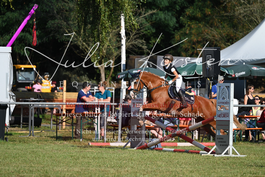 DSC_4964 | Pferde- und Turnierfotografie in Westsachsen. Pferdeportraits, Auftragszeichnungen und intuitive Kunst.