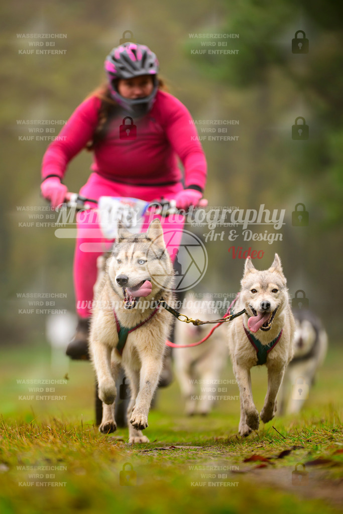 MompixPhotography_Bischwiller2025_Bike-150 | mompixphotography