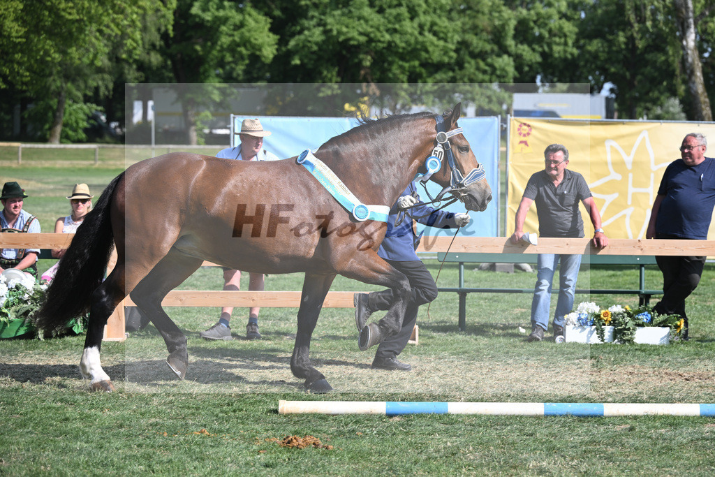 Kat-Nr. 50 Nockerl_HLG Schwaiganger_20231646 | hf-fotografie - Realisiert mit Pictrs.com