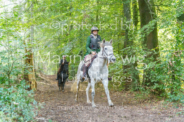 Jagd Perdoel_MarinaHewigMCH04808 | Fotografie, FotoArt, PferdesportArt, Pferdesportfotografie, Landschaftsfotografie, Reisefotografie, Reise, Pferde - Realisiert mit Pictrs.com