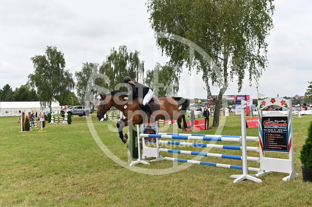 DSC_3086 | sattelsport - Realisiert mit Pictrs.com