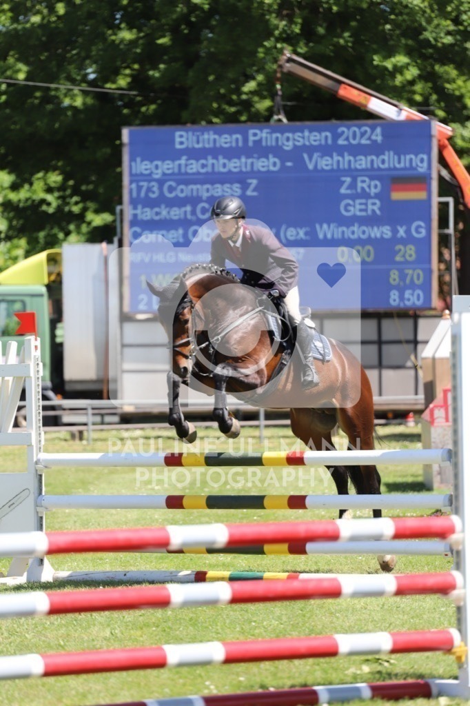 IMG_6302 | Pauline Ullmann Photography - Realisiert mit Pictrs.com